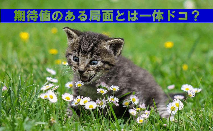 【負け組必見】期待値をプラスにする3つのトレード戦略!