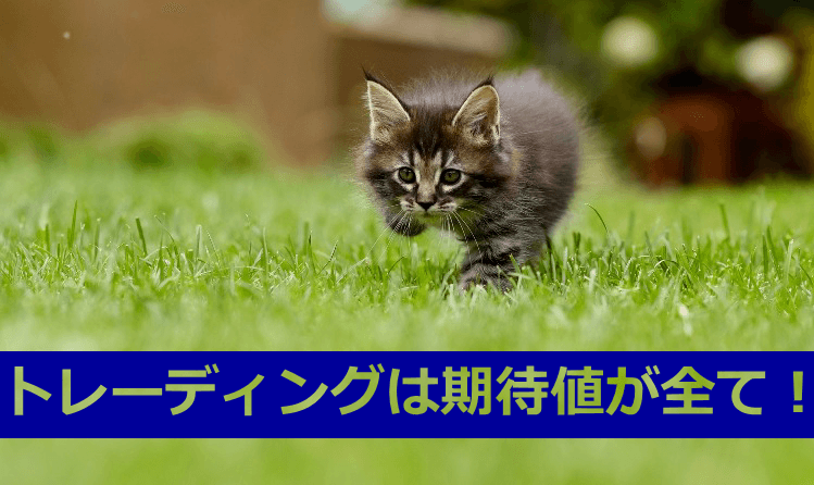 【トレードの真理】トレードは期待値がプラスかマイナスが全てが決まる!