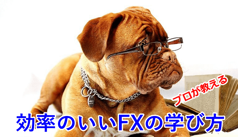 プロが教える!効率のいいFXの勉強方法